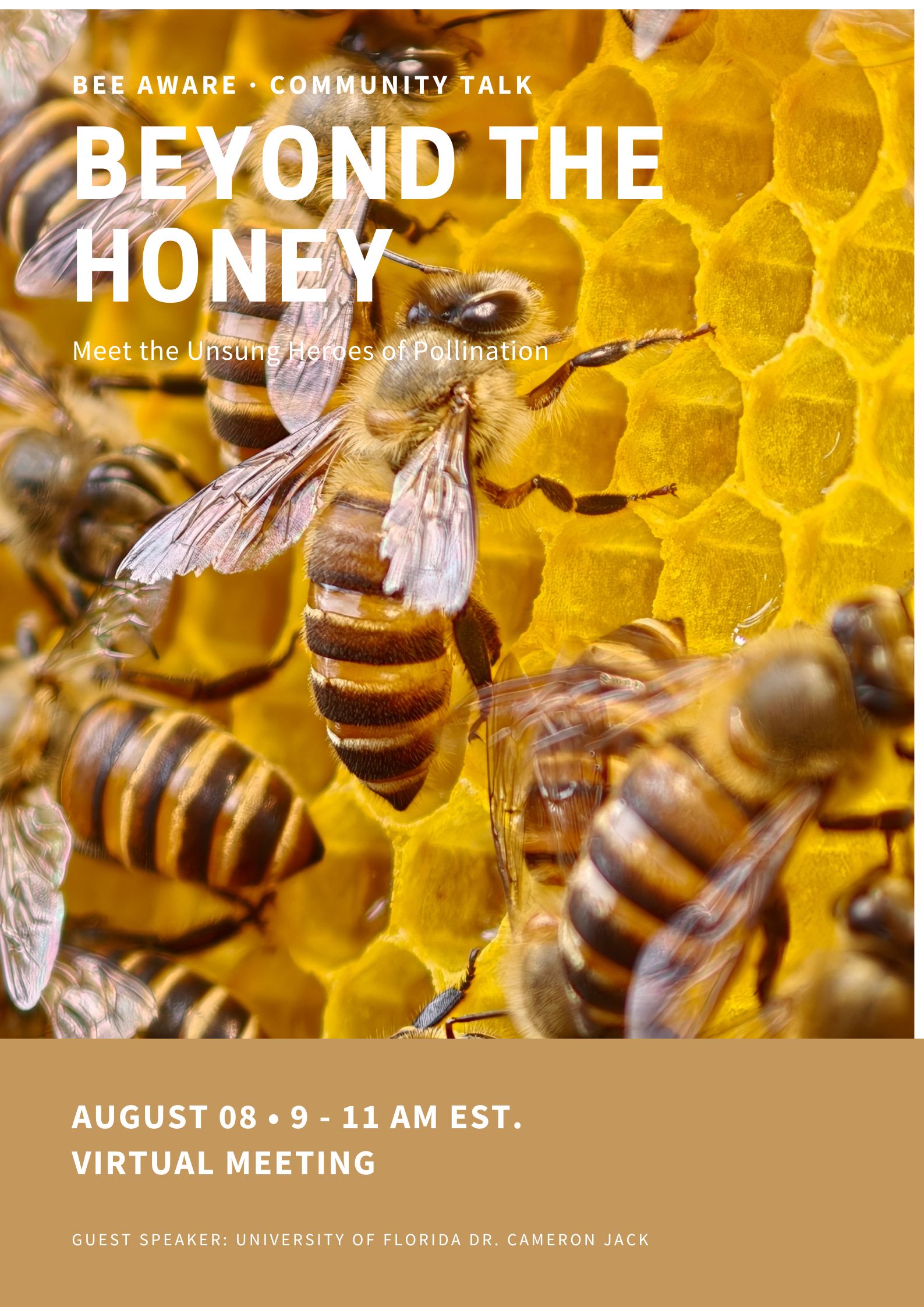 Beyond the Honey community talk poster