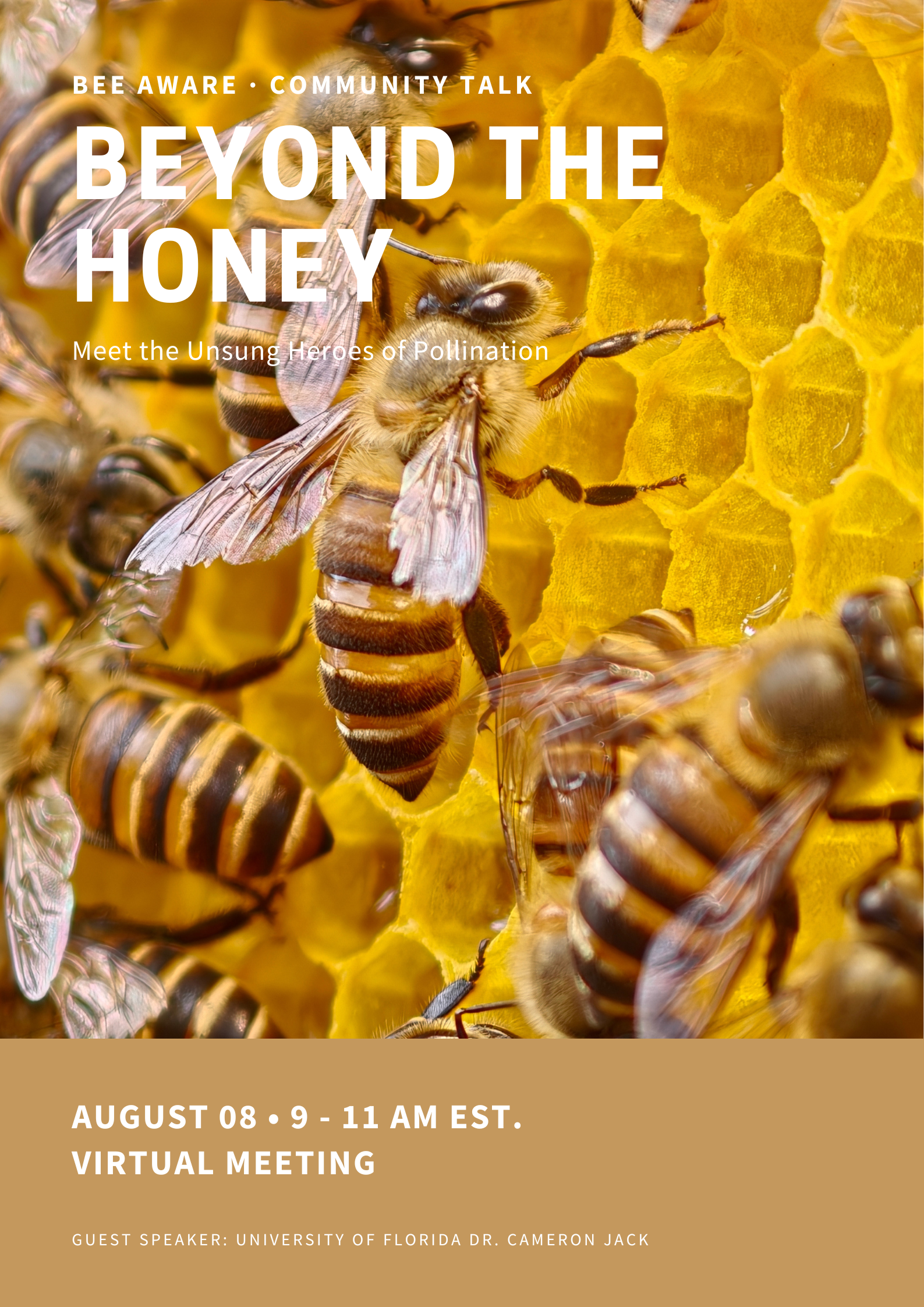 Beyond the Honey community talk poster